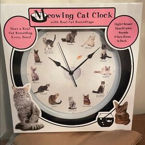 - Pink Accent Cat Sound Wall Clock